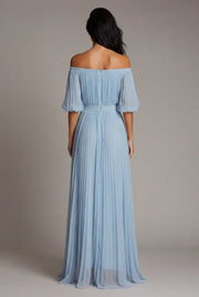 Womens Off-shoulder Pleated Chiffon Maxi Dress — Sky Blue — AI-generated studio back view
